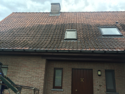 ontmossen Gevels en daken Beernem